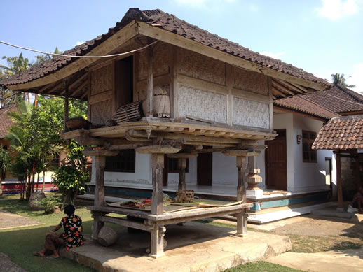 rumah desa courtyard