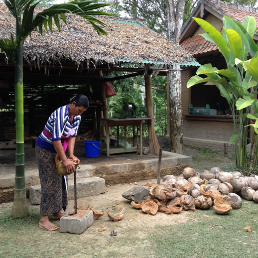 rumah desa husking