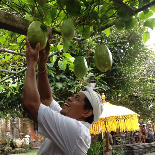 rumah desa passion