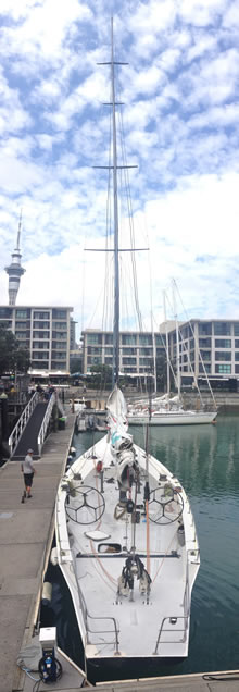 americas cup sailing auckland harbour