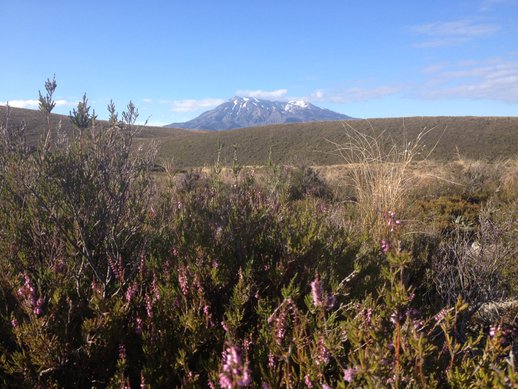 tongariro alpine crossing 1