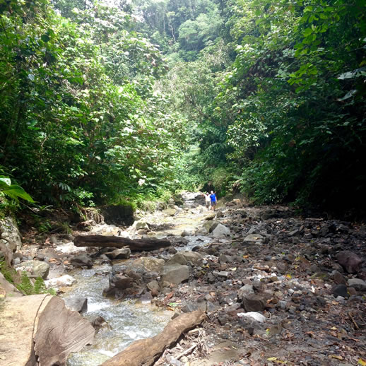 savo-island-volcano-hike