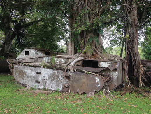 solomon-islands-war-museum-tank-3