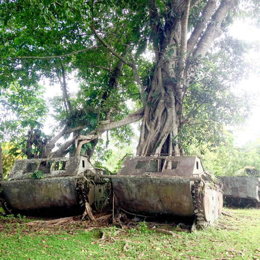 solomon-islands-war-museum-tank-5