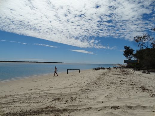 rainbow-beach-camping-1