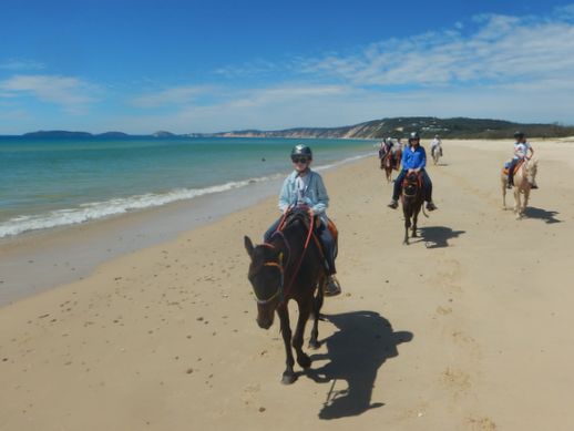 rainbow-beach-horse-ride-1