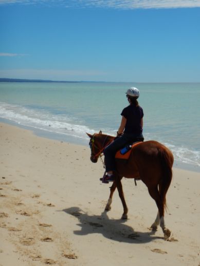 rainbow-beach-horse-ride-2