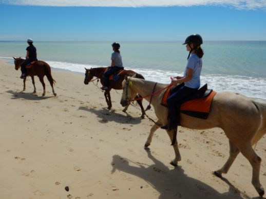 rainbow-beach-horse-ride-6